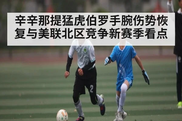 辛辛那提猛虎伯罗手腕伤势恢复与美联北区竞争新赛季看点